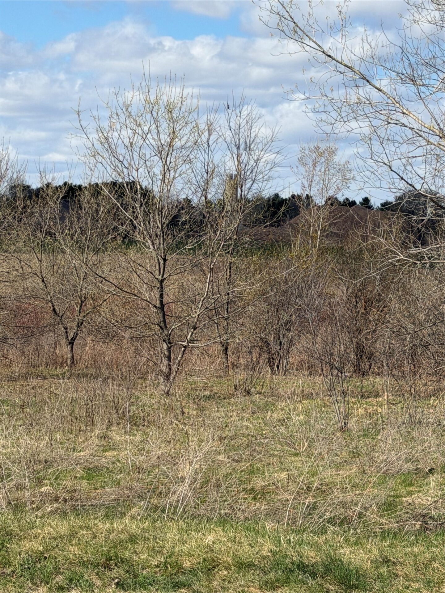 Residential at Lot 14 54th Avenue, Chippewa Falls, WI 54729 — photo 4