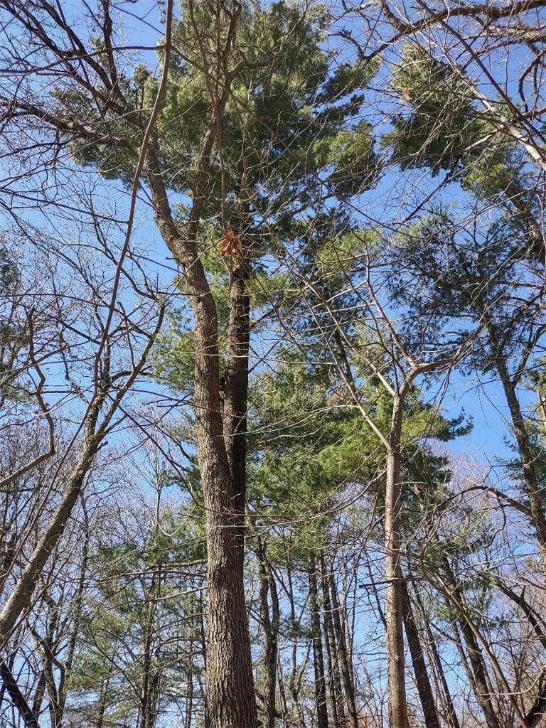 Residential at Lot 18 N4XX 297th Street, Eau Galle, WI 54737 — photo 15