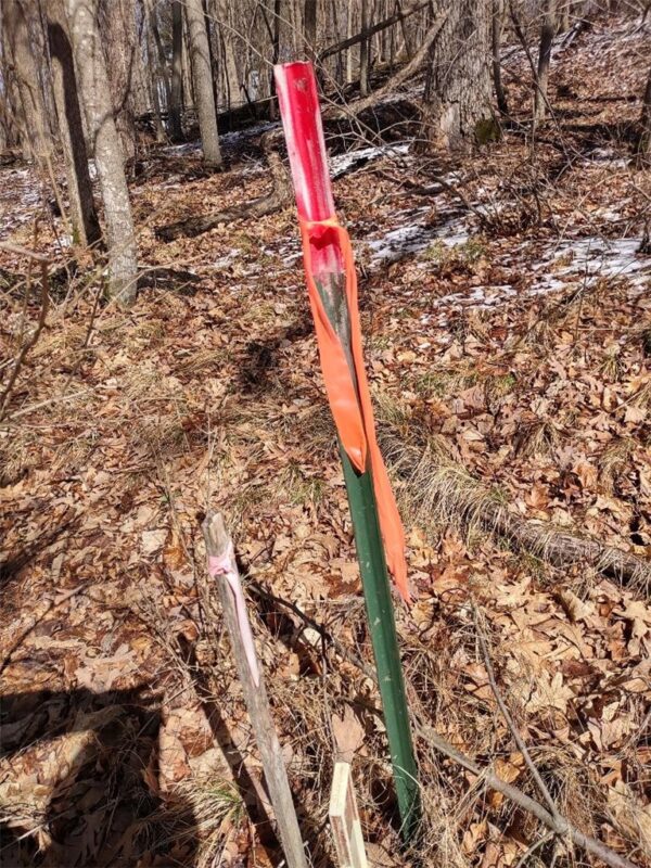 Residential at Lot 18 N4XX 297th Street, Eau Galle, WI 54737 — photo 18