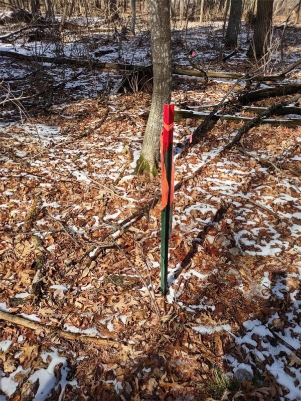 Residential at Lot 18 N4XX 297th Street, Eau Galle, WI 54737 — photo 19