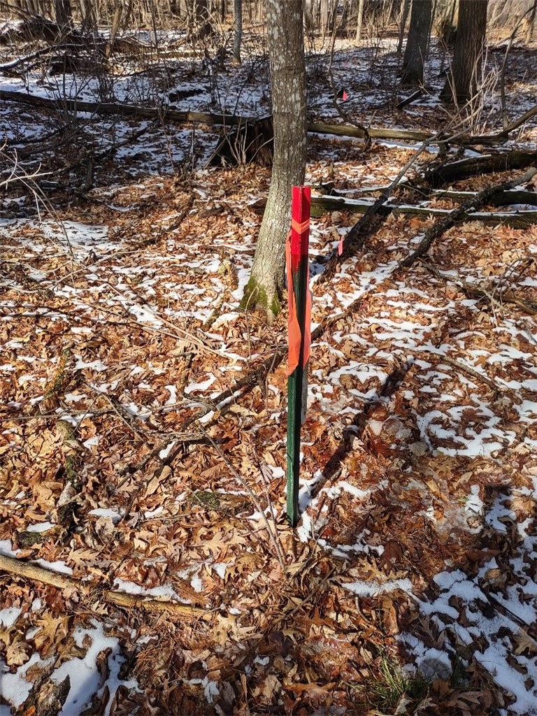 Residential at Lot 18 N4XX 297th Street, Eau Galle, WI 54737 — photo 19