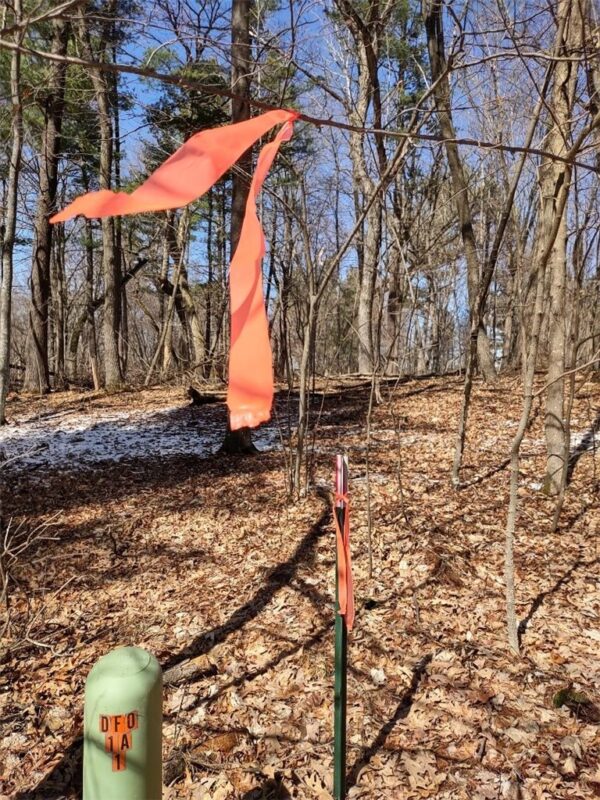 Residential at Lot 18 N4XX 297th Street, Eau Galle, WI 54737 — photo 21