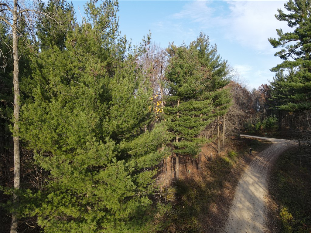Residential at Lot 18 N4XX 297th Street, Eau Galle, WI 54737 — photo 4