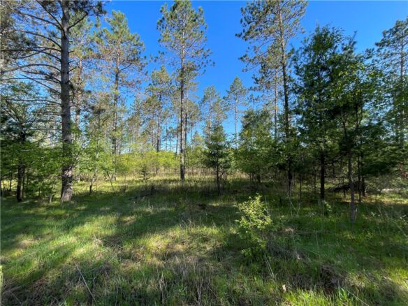 Residential at Lot 2 Elaine Drive, Hayward, WI 54843 — photo 1