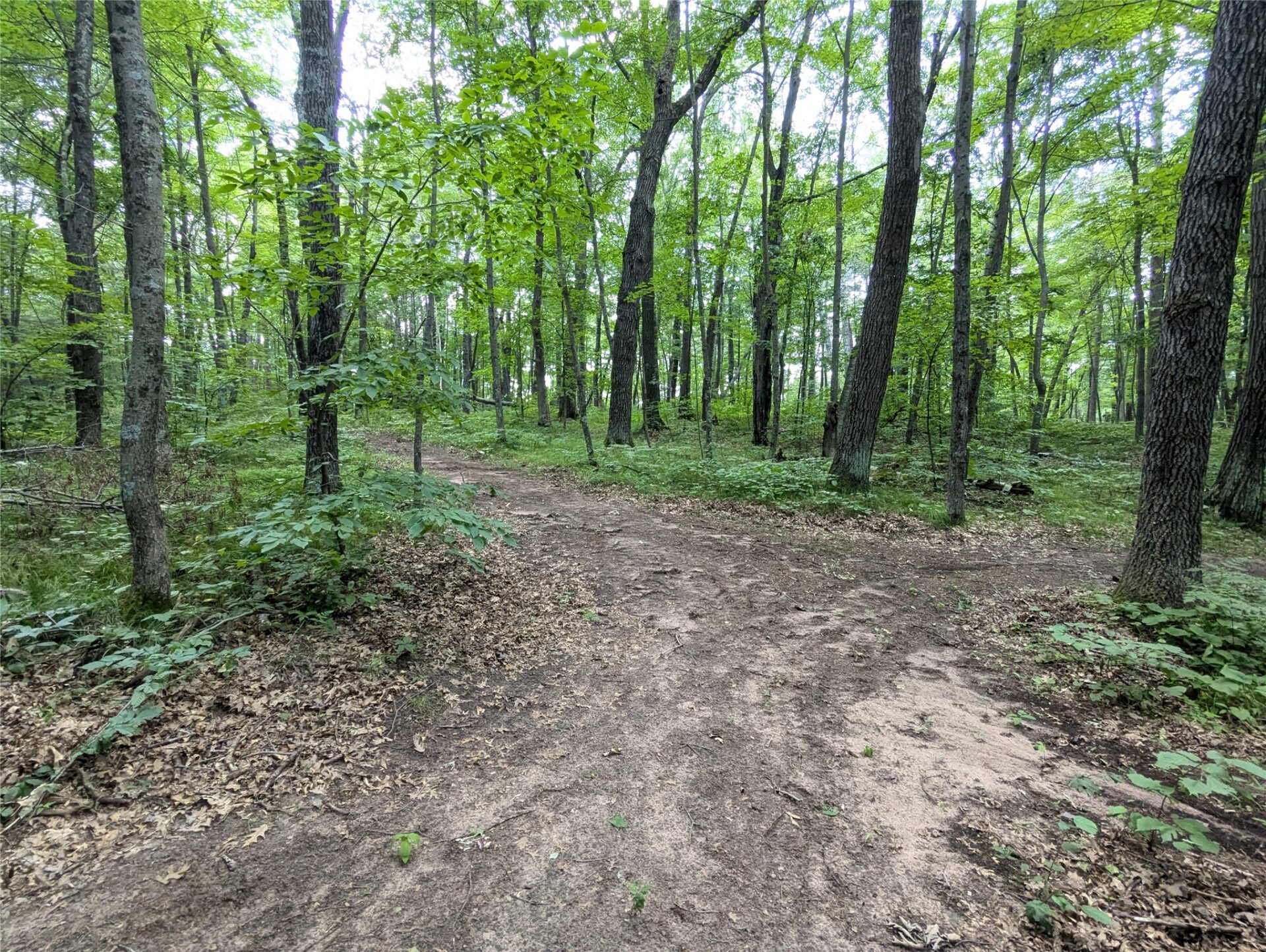 Residential at Lot 2 Fosmo, Webster, WI 54893 — photo 2