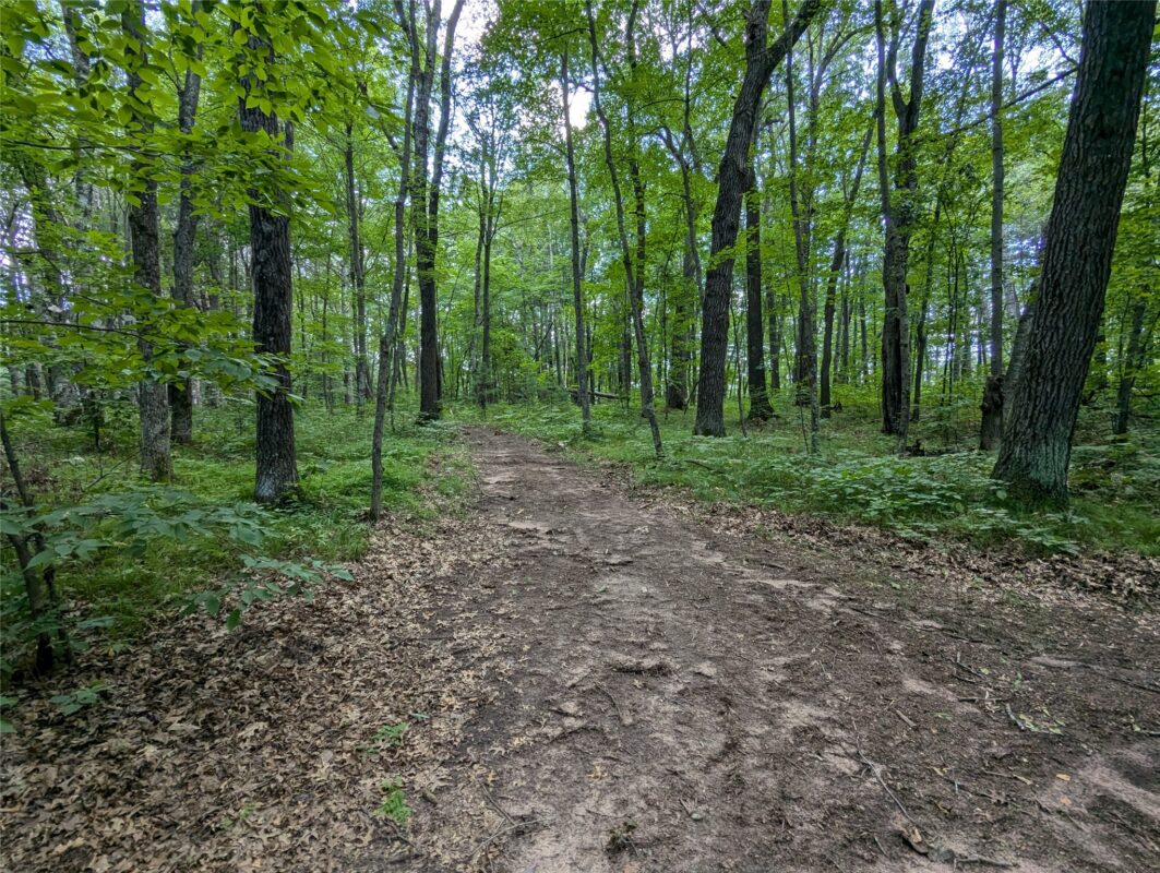 Residential at Lot 2 Fosmo, Webster, WI 54893 — photo 3