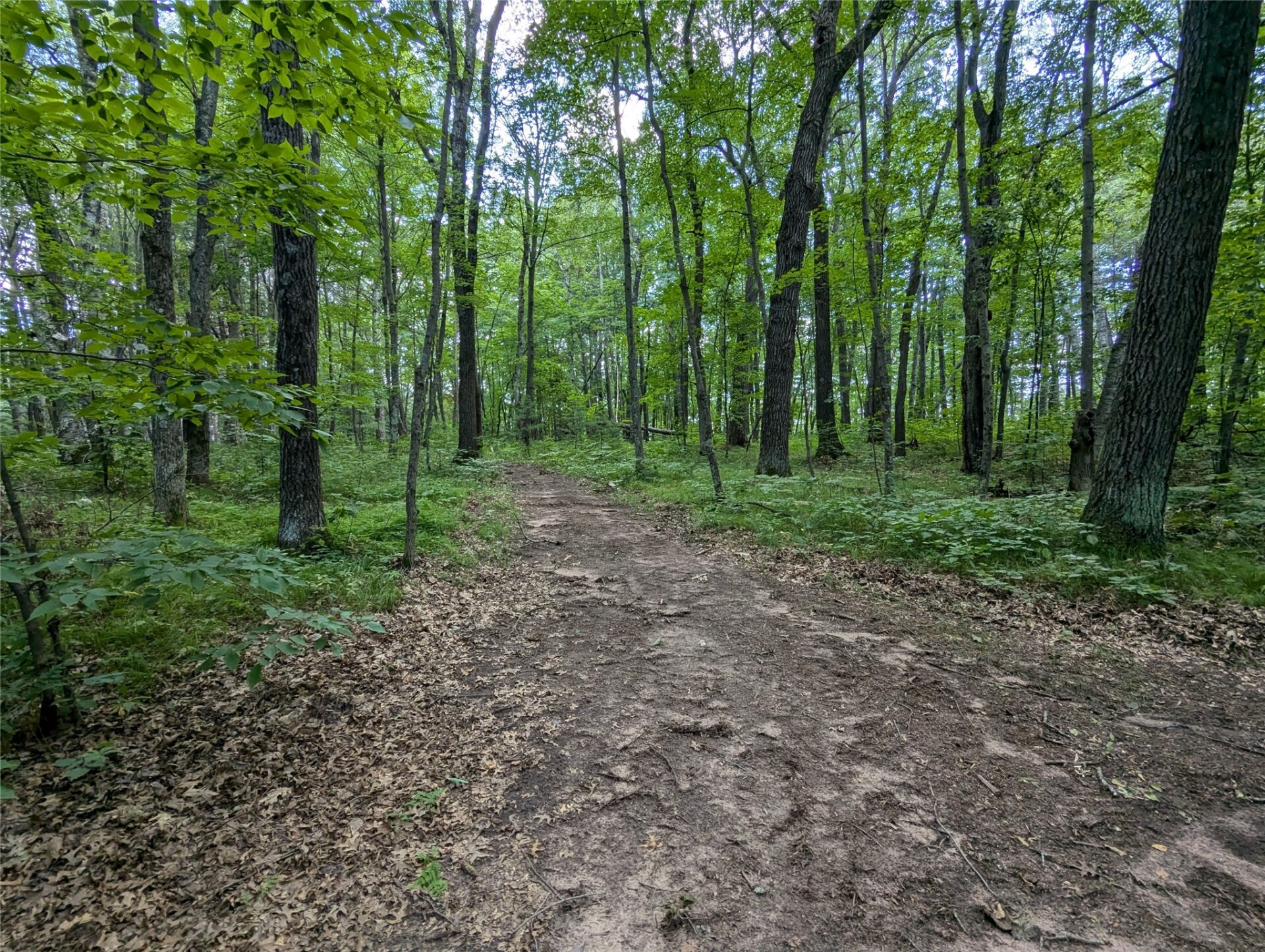 Residential at Lot 2 Fosmo, Webster, WI 54893 — photo 3