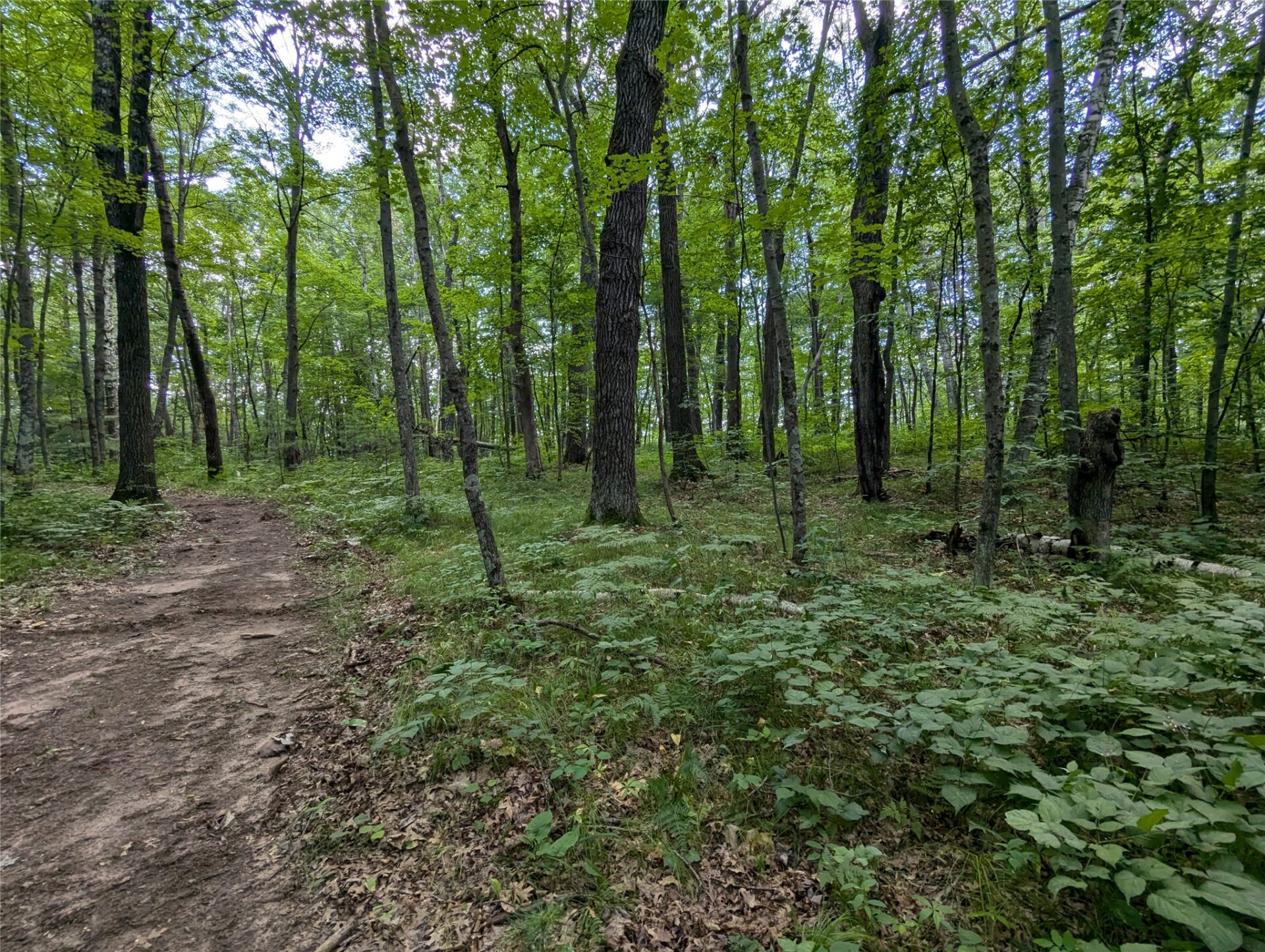 Residential at Lot 2 Fosmo, Webster, WI 54893 — photo 4