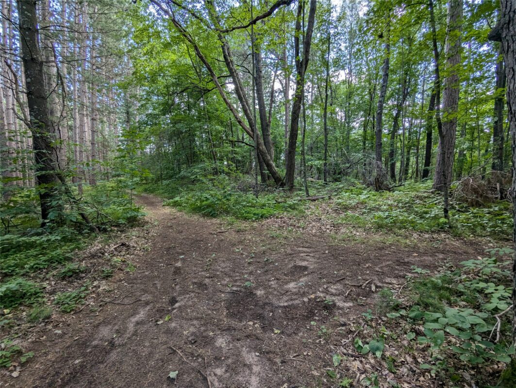 Residential at Lot 2 Fosmo, Webster, WI 54893 — photo 5
