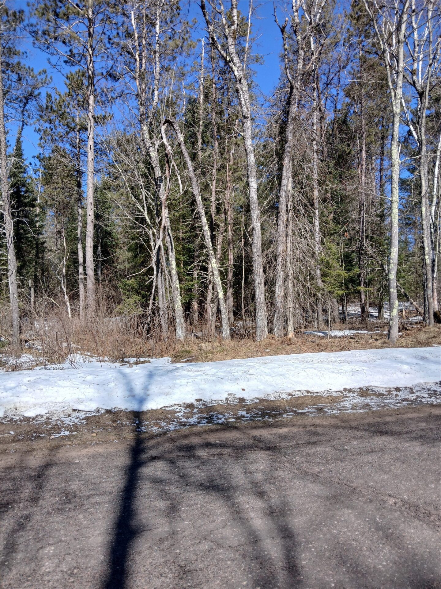 Residential at Lot 2 Lake Lodge Drive, Cable, WI 54821 — photo 2