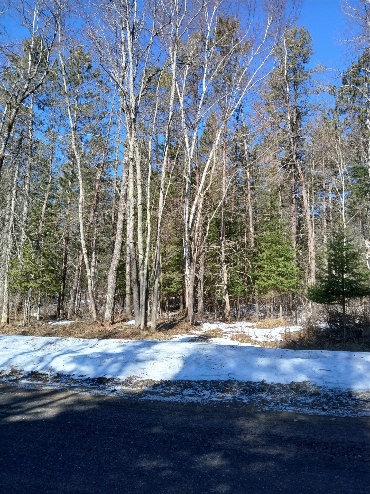 Residential at Lot 2 Lake Lodge Drive, Cable, WI 54821 — photo 3