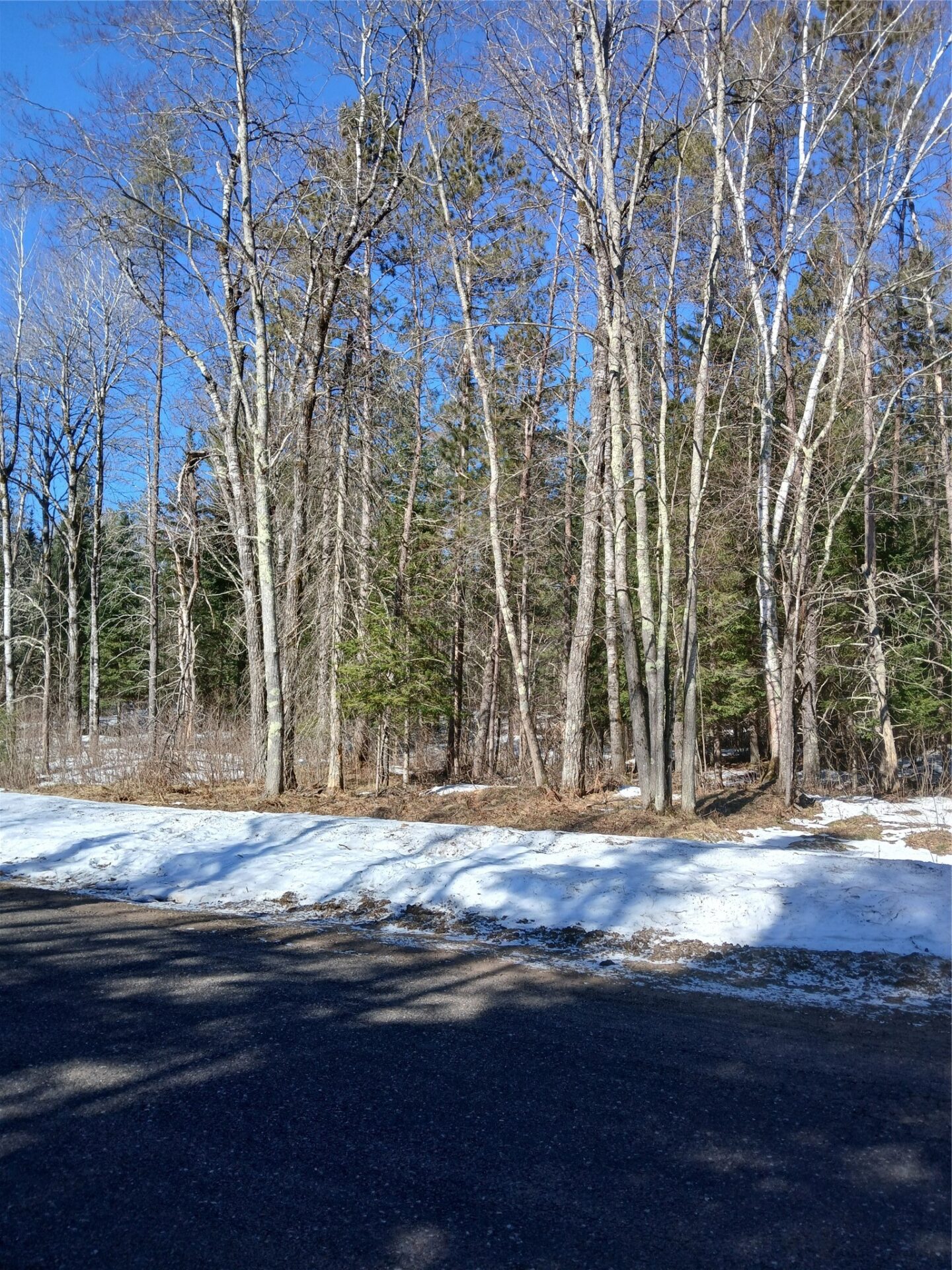 Residential at Lot 2 Lake Lodge Drive, Cable, WI 54821 — photo 4