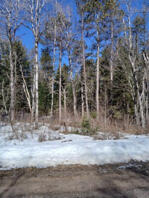 Residential at Lot 2 Lake Lodge Drive, Cable, WI 54821 — photo 1