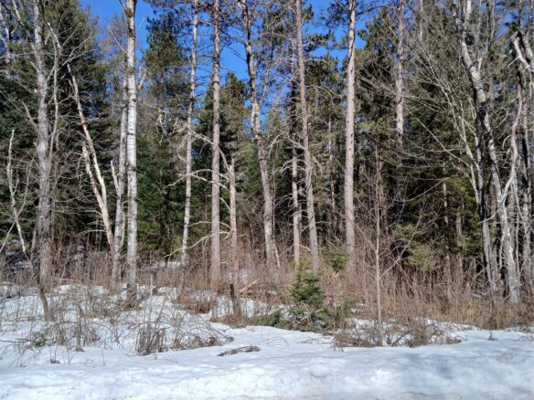 Residential at Lot 2 Lake Lodge Drive, Cable, WI 54821 — photo 1