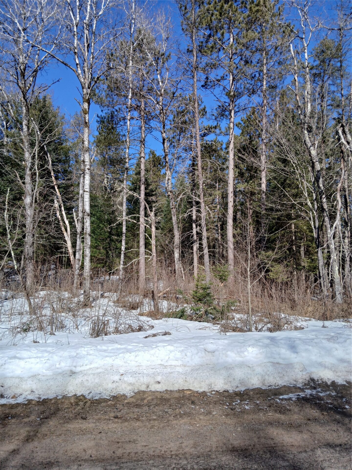 Residential at Lot 2 Lake Lodge Drive, Cable, WI 54821 — photo 1