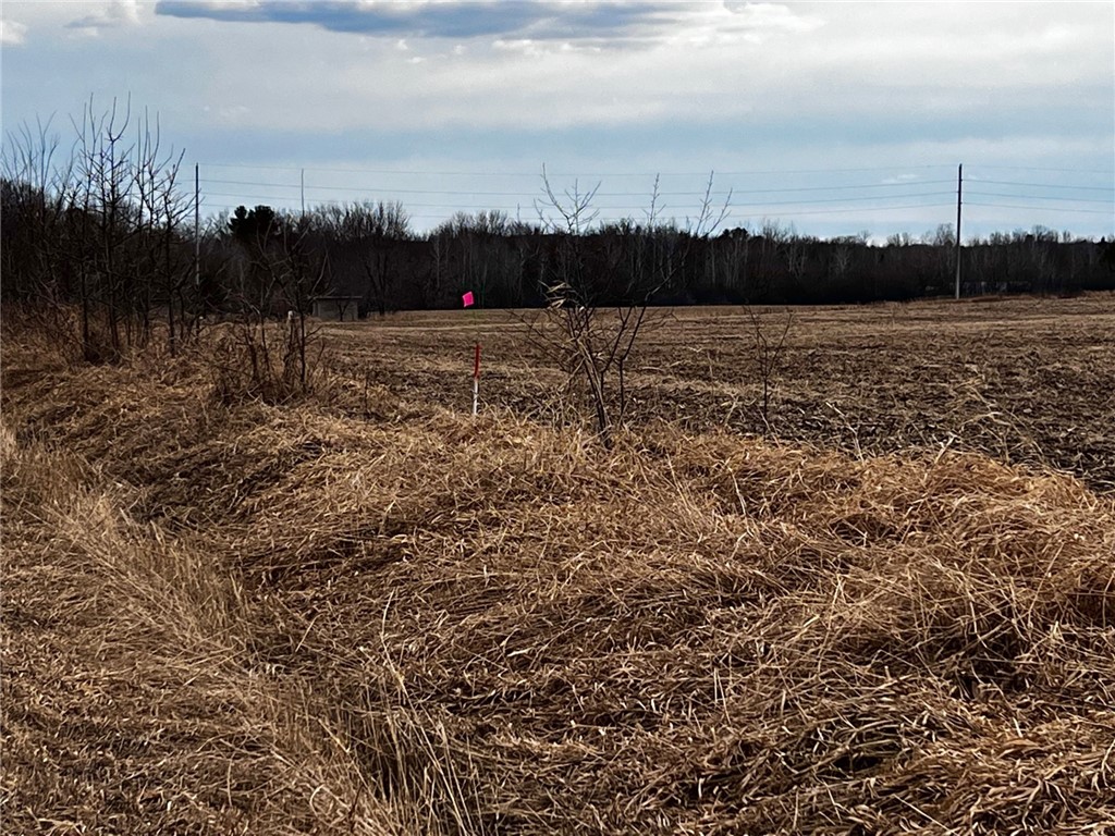 Residential at Lot 2 Main Street, Cadott, WI 54727 — photo 3