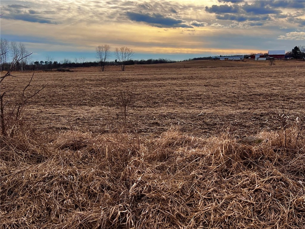 Residential at Lot 2 Main Street, Cadott, WI 54727 — photo 4