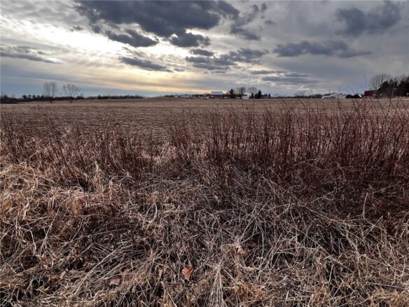 Residential at Lot 2 Main Street, Cadott, WI 54727 — photo 1