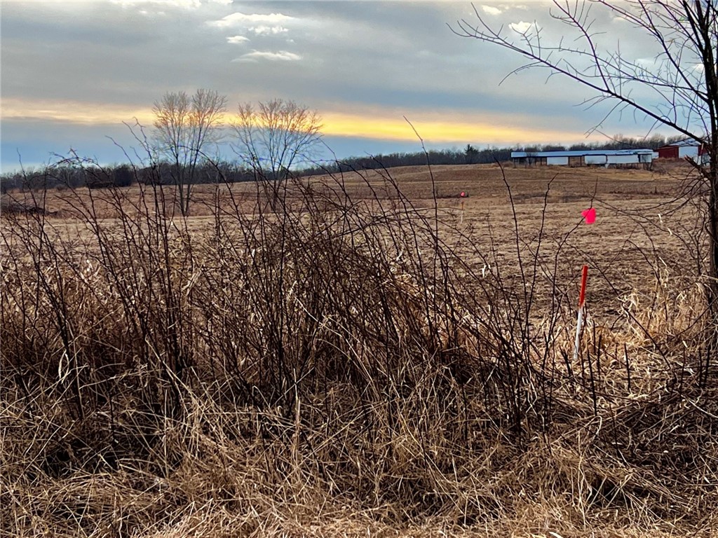 Residential at Lot 2 Main Street, Cadott, WI 54727 — photo 10