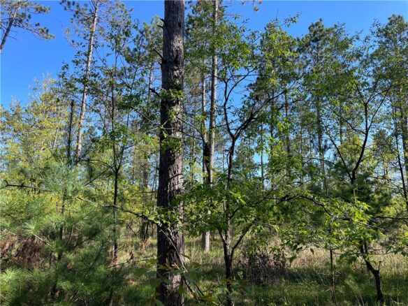 Residential at Lot 2 Murphy Boulevard, Hayward, WI 54843 — photo 1