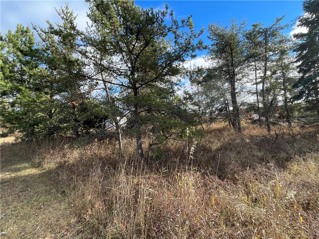Commercial Sale at Lot 2 Ranch Road, Hayward, WI 54843 — photo 5