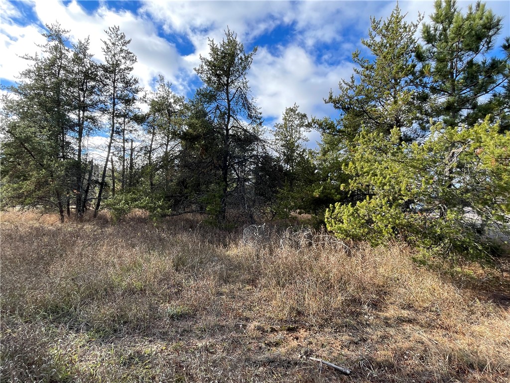 Commercial Sale at Lot 2 Ranch Road, Hayward, WI 54843 — photo 7