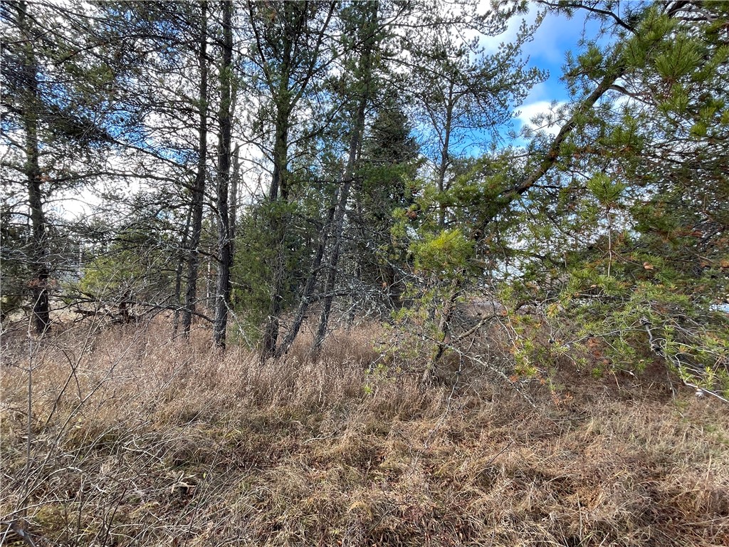 Commercial Sale at Lot 2 Ranch Road, Hayward, WI 54843 — photo 9