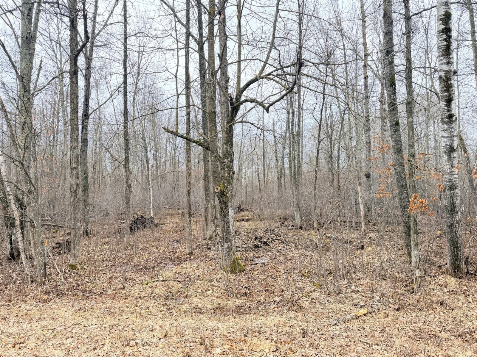 Lot 20 28 7/8 Avenue, Birchwood, WI — photo 3