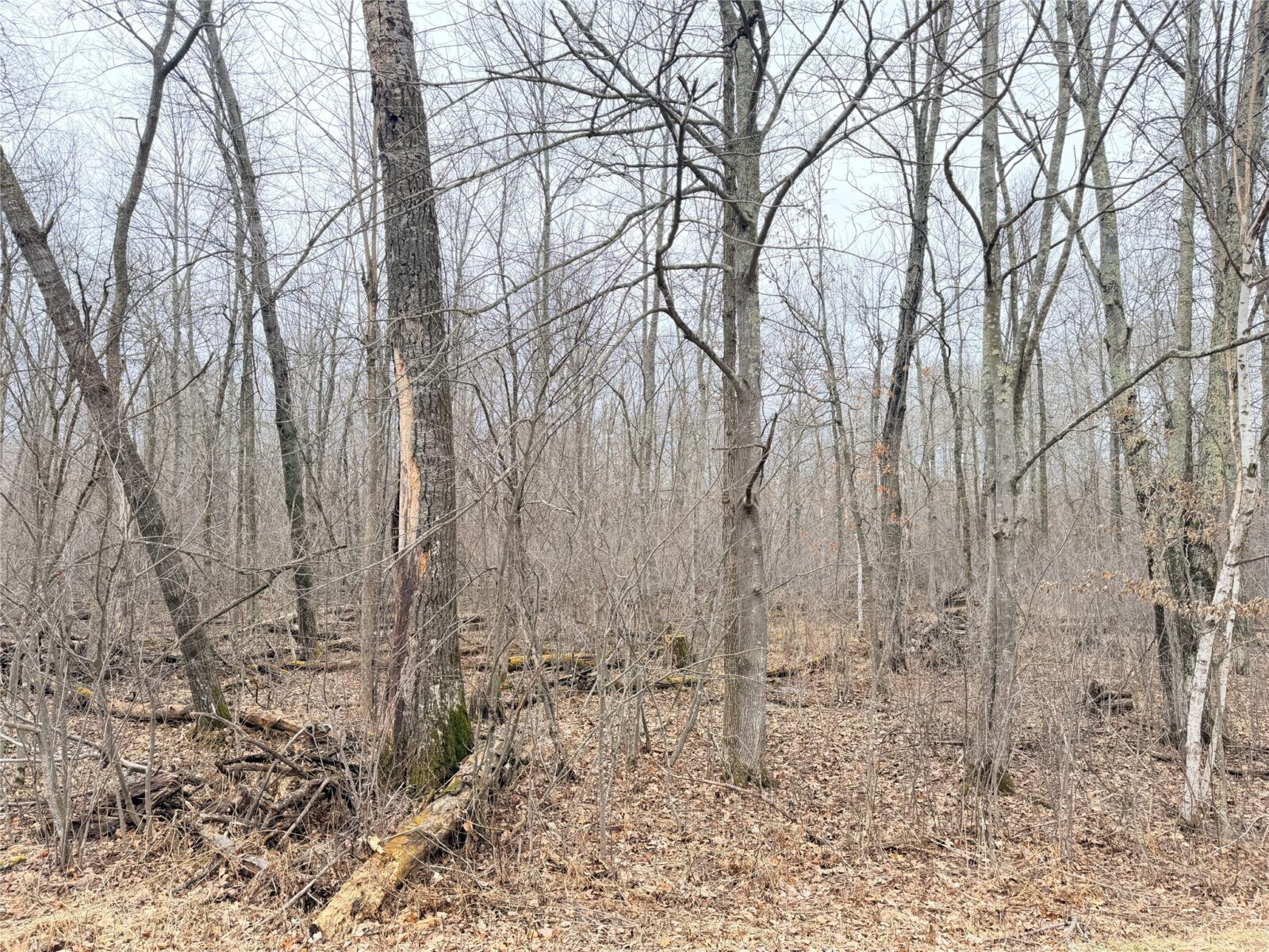 Lot 20 28 7/8 Avenue, Birchwood, WI — photo 4