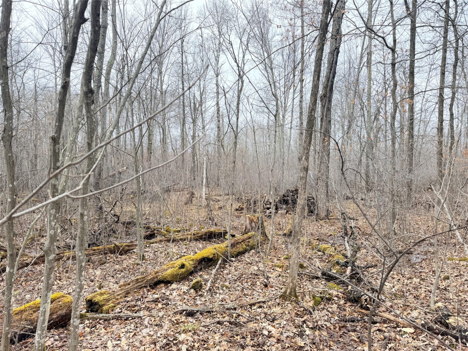 Lot 20 28 7/8 Avenue, Birchwood, WI — photo 7