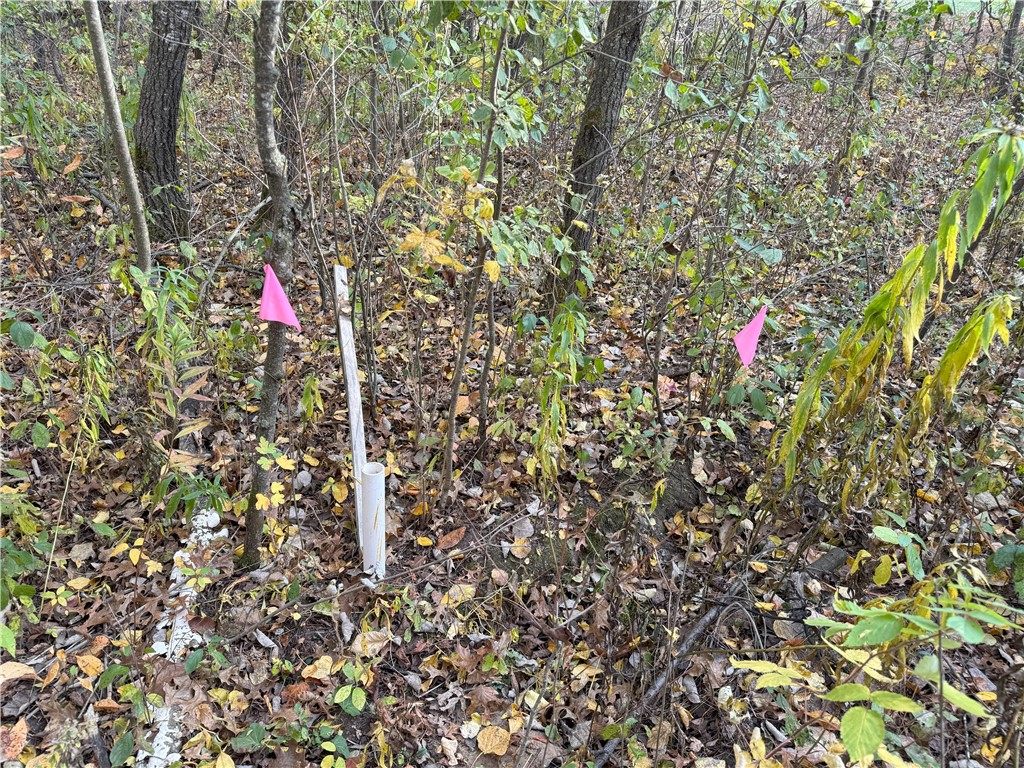 Lot 22 Short Ridge Estates, Eau Claire, WI — photo 11