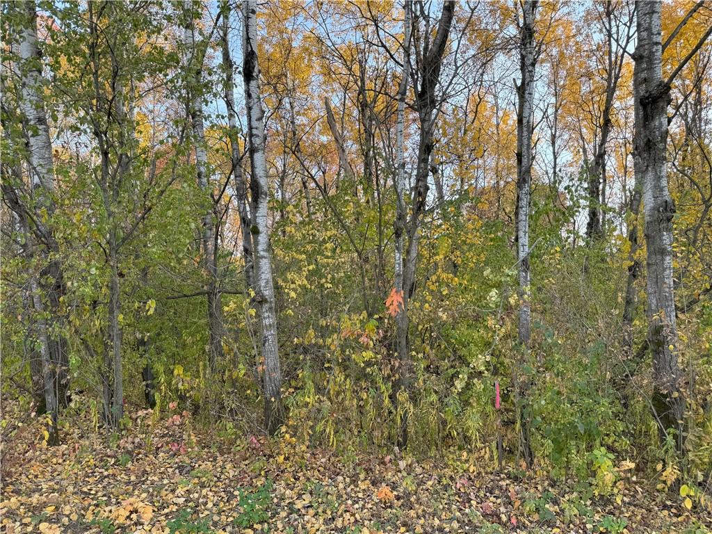 Lot 22 Short Ridge Estates, Eau Claire, WI — photo 4
