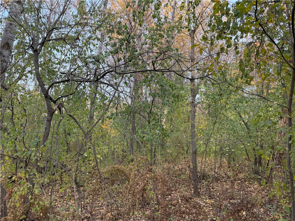 Lot 22 Short Ridge Estates, Eau Claire, WI — photo 5