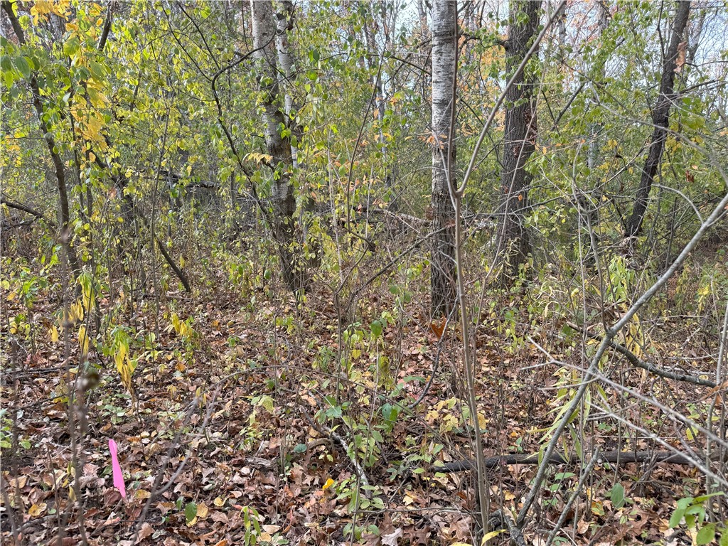 Lot 22 Short Ridge Estates, Eau Claire, WI — photo 10