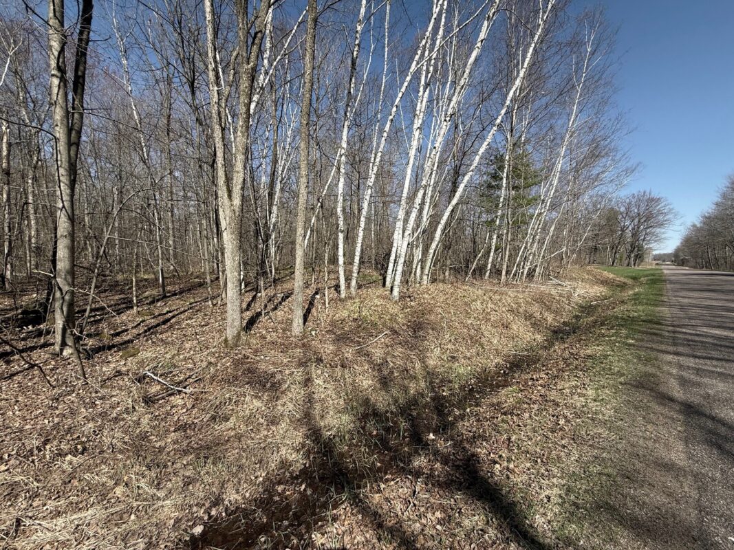 Land at Lot 3 175th, Jim Falls, WI 54748 — photo 2