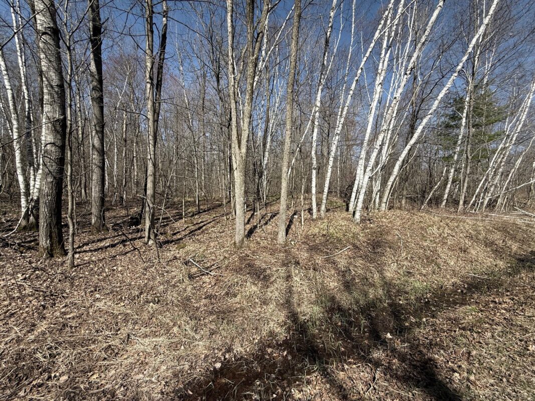 Land at Lot 3 175th, Jim Falls, WI 54748 — photo 3