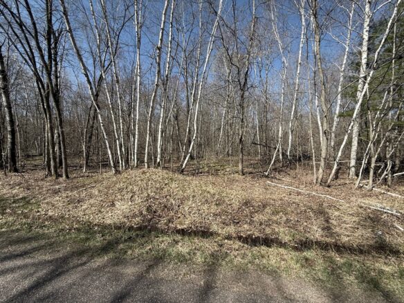 Land at Lot 3 175th, Jim Falls, WI 54748 — photo 1