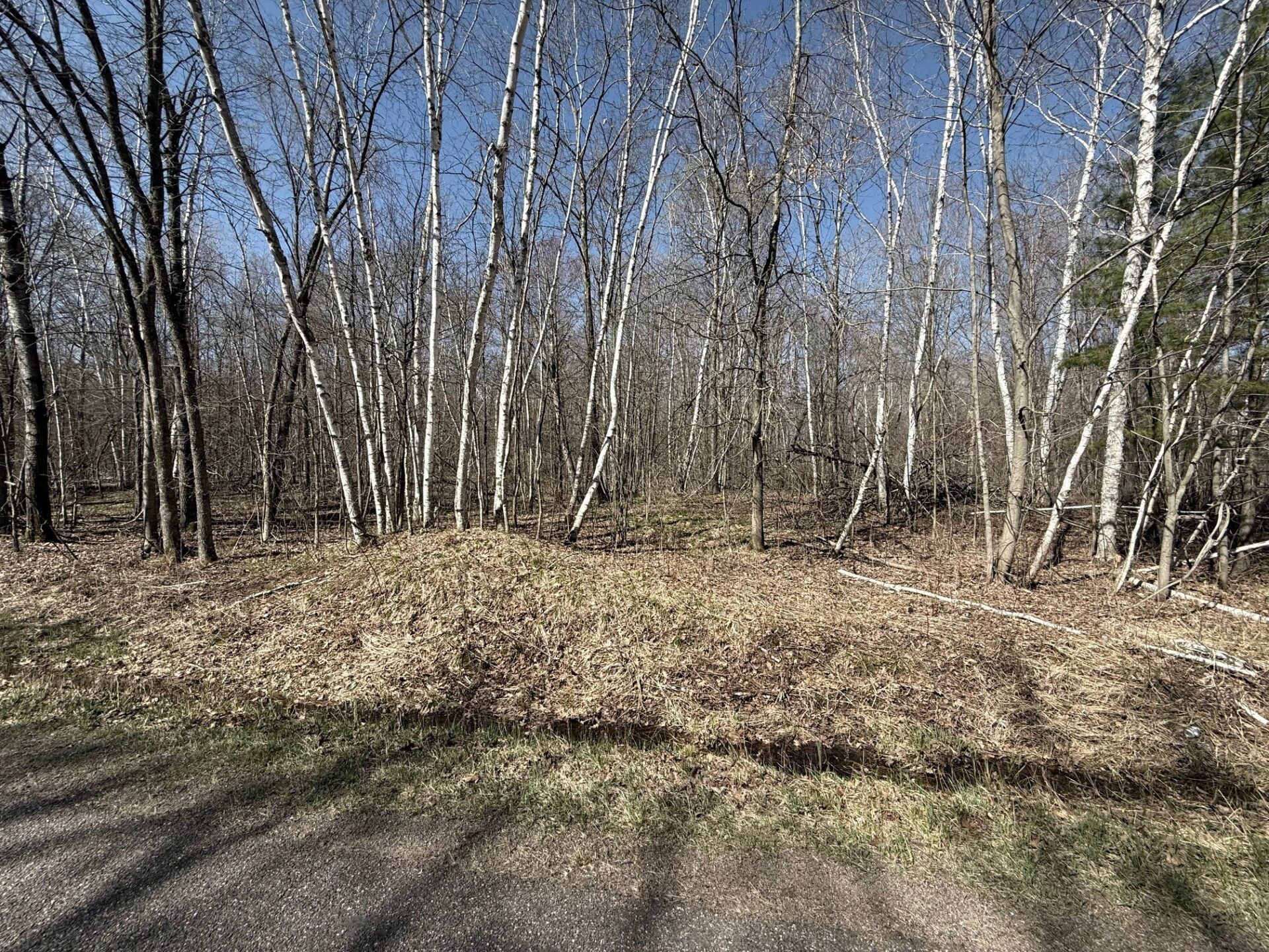 Land at Lot 3 175th, Jim Falls, WI 54748 — photo 1
