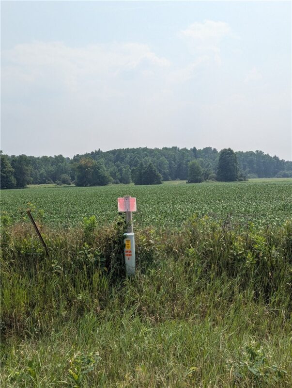 Lot 3 County Highway W, Holcombe, WI — photo 2