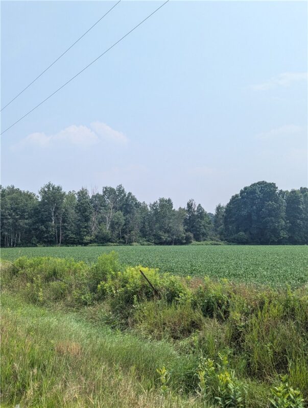 Lot 3 County Highway W, Holcombe, WI — photo 3