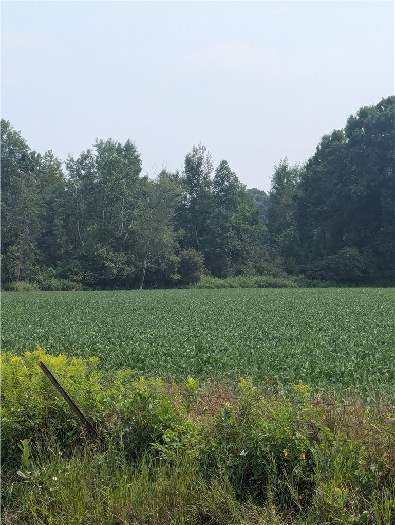 Lot 3 County Highway W, Holcombe, WI — photo 4