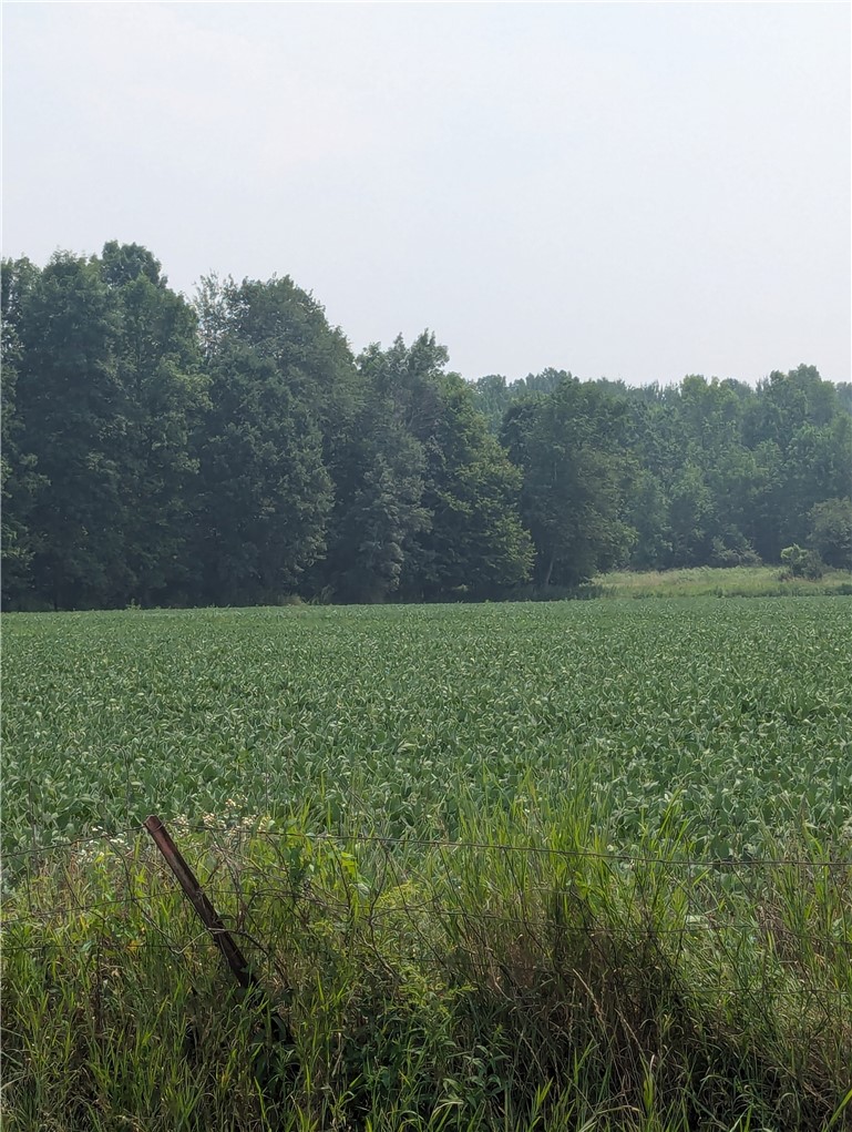 Lot 3 County Highway W, Holcombe, WI — photo 5