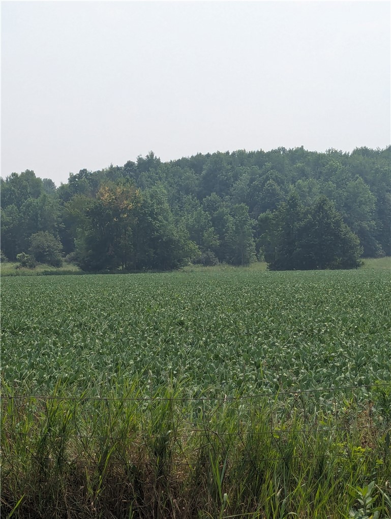 Lot 3 County Highway W, Holcombe, WI — photo 6