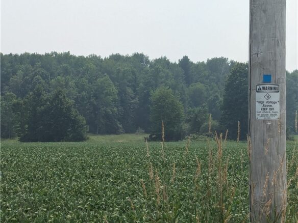 Landhouse for sale picture with an address of  Lot 3 County Highway W  in Holcombe and a list price of 29000