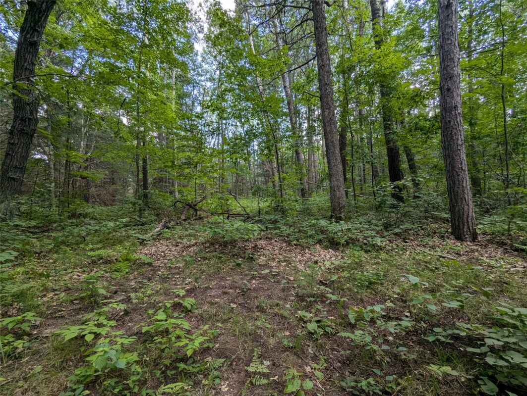 Residential at Lot 3 Fosmo, Webster, WI 54893 — photo 3