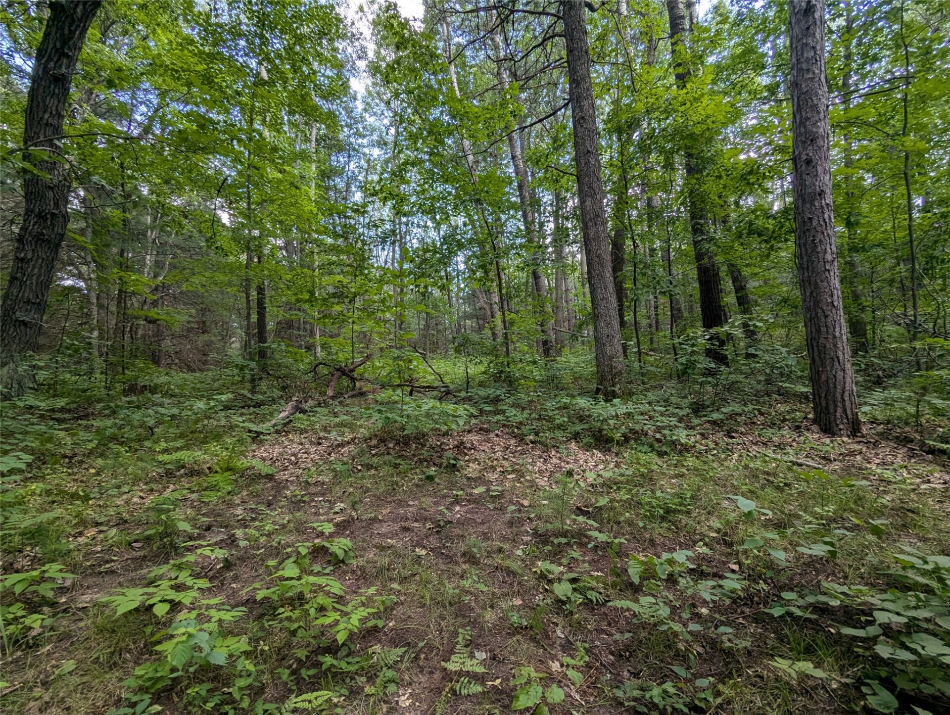 Residential at Lot 3 Fosmo, Webster, WI 54893 — photo 3
