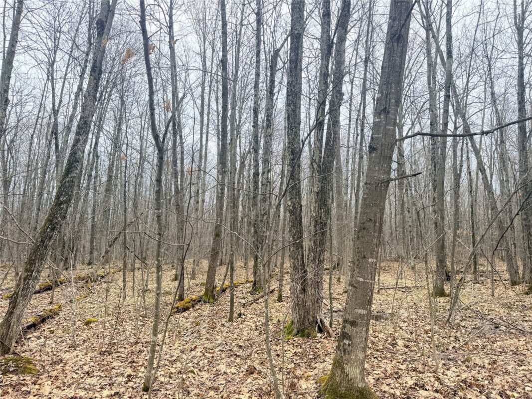 Land at Lot 3 Hwy X, Glen Flora, WI 54526 — photo 17