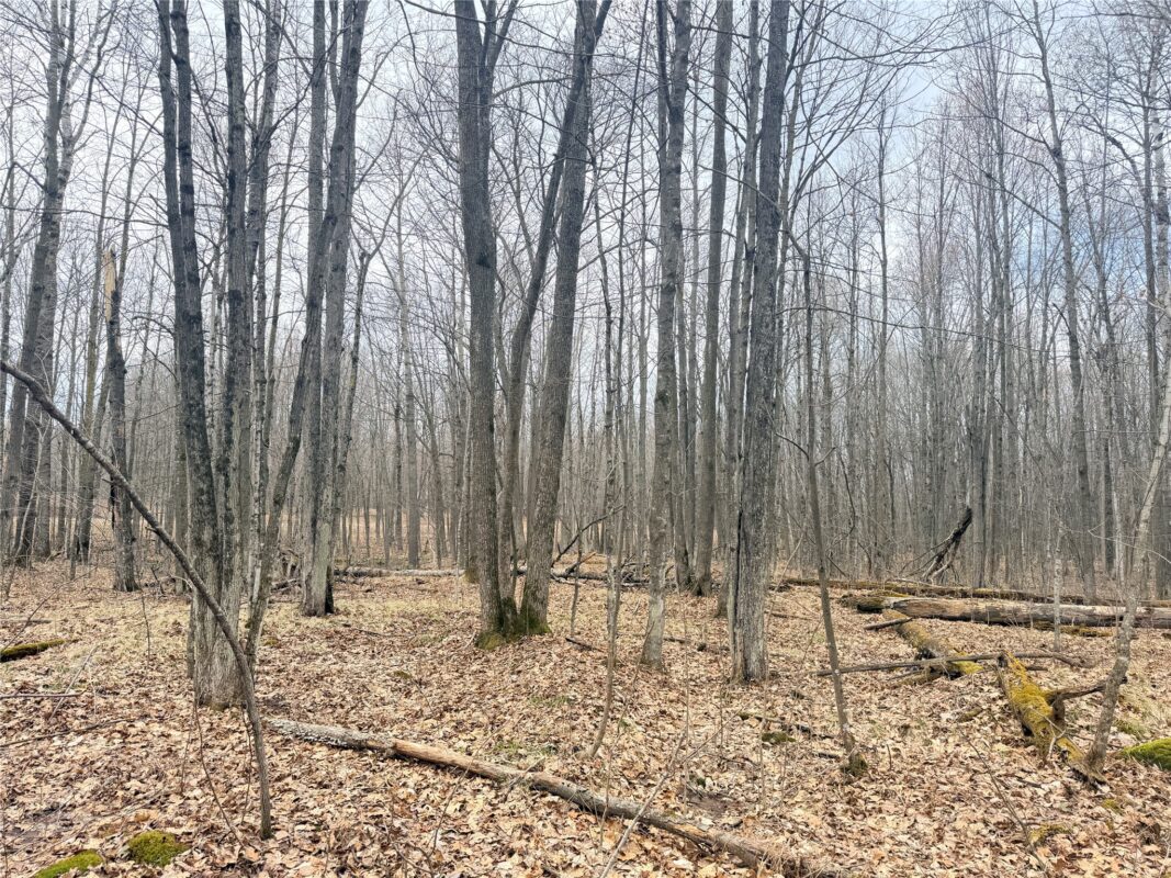 Land at Lot 3 Hwy X, Glen Flora, WI 54526 — photo 20