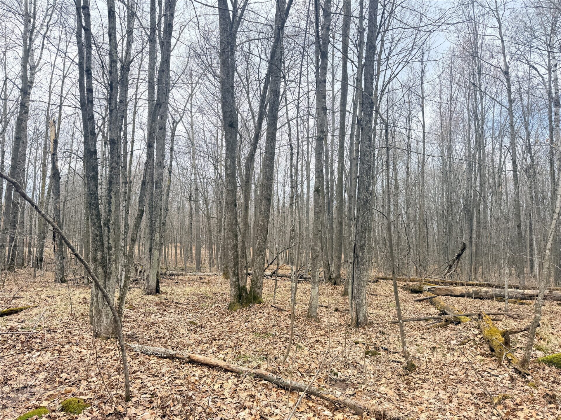 Land at Lot 3 Hwy X, Glen Flora, WI 54526 — photo 20