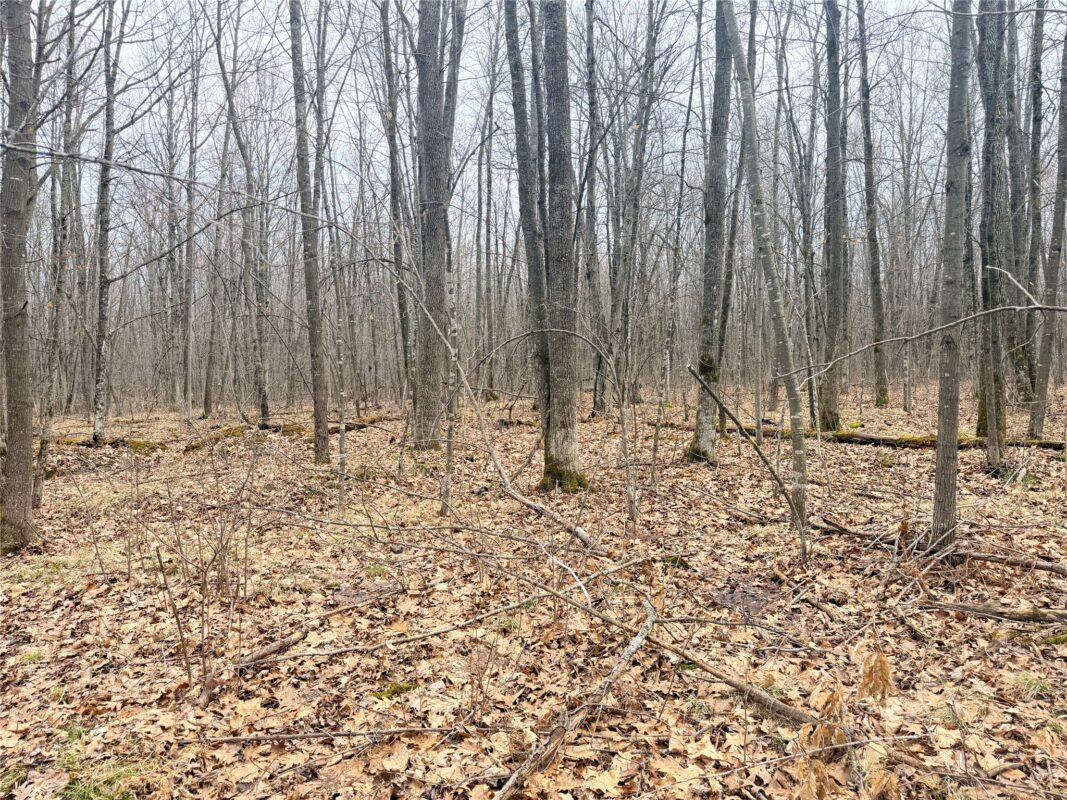 Land at Lot 3 Hwy X, Glen Flora, WI 54526 — photo 21